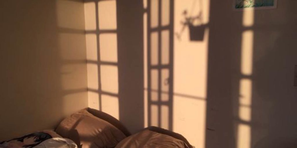 Pourquoi séparer une chambre avec une seule fenêtre représente un défi unique