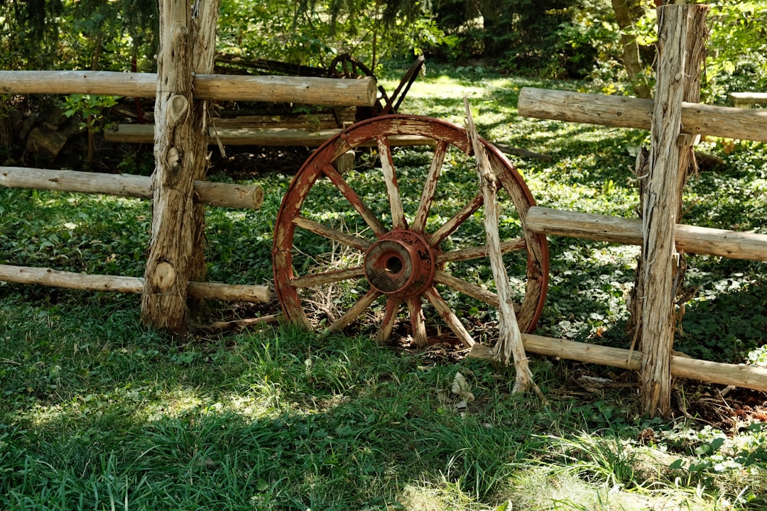 découvrez tout ce qu'il faut savoir sur la scie circulaire : fonctionnement, types, conseils d'utilisation et critères pour bien choisir votre outil de découpe.