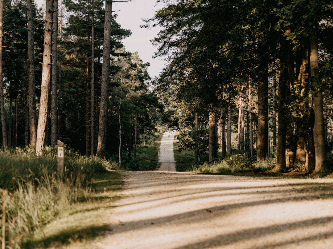 découvrez tout ce qu'il faut savoir sur le gravel path : conseils pour l'aménagement, choix des matériaux et idées inspirantes pour créer un chemin de gravier esthétique et fonctionnel dans votre jardin.