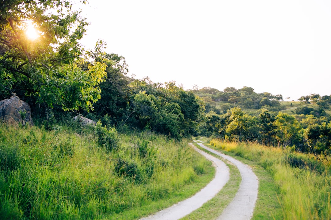 découvrez tout ce qu'il faut savoir sur les chemins de gravel : conseils d'aménagement, avantages, types de revêtement et astuces d'entretien pour créer un sentier praticable et esthétique.