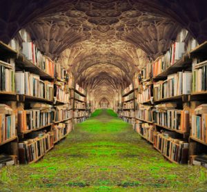 découvrez nos solutions de shelving pratiques et esthétiques pour organiser et optimiser votre espace, que ce soit à la maison ou au bureau. trouvez des étagères adaptées à tous vos besoins de rangement !